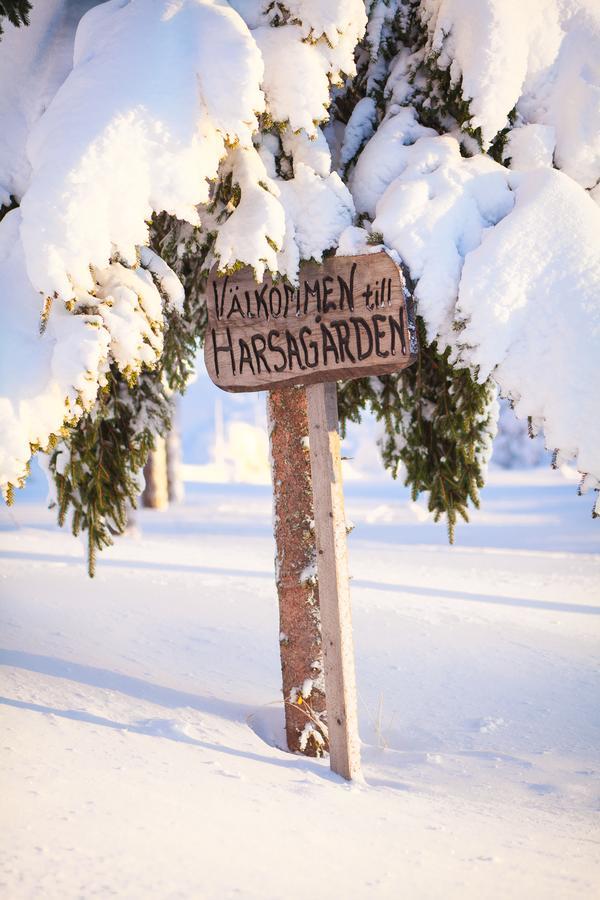 Helsingegarden Hostel Järvsö Exterior foto